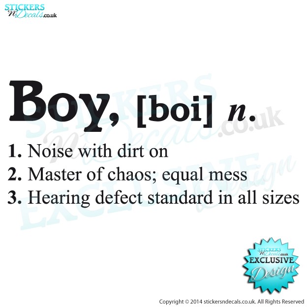 Boy - [ Boi ] Dictionary Description - Vinyl Wall Art - Vinyl Wall Decal - Window Sticker - Wall Decor