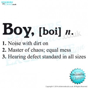 Boy - [ Boi ] Dictionary Description - Vinyl Wall Art - Vinyl Wall Decal - Window Sticker - Wall Decor